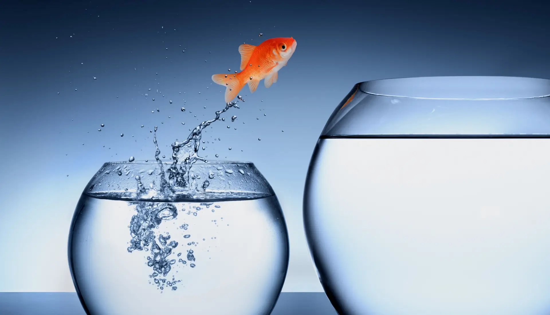 Change Management